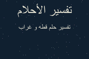 تفسير قطه و غراب في المنام