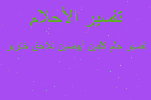 تفسير كلبين أبيضين تلاحق خنزير في المنام