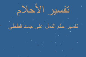 تفسير النمل على جسد قططي في المنام