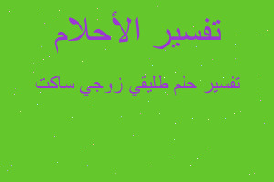 تفسير طليقي زوجي ساكت في المنام