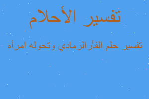 تفسير الفأرالرمادي وتحوله امرأه في المنام تفسير الفأرالرمادي وتحوله امرأه في المنام