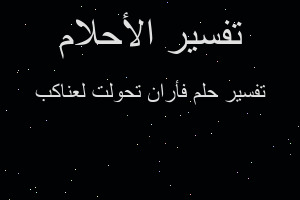 تفسير فأران تحولت لعناكب في المنام تفسير فأران تحولت لعناكب في المنام