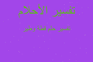 تفسير قطة وطير في المنام تفسير قطة وطير في المنام