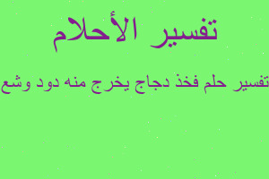 تفسير فخذ دجاج يخرج منه دود وشع في المنام تفسير فخذ دجاج يخرج منه دود وشع في المنام