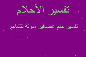 تفسير عصافير ملونة تتشاجر في المنام تفسير عصافير ملونة تتشاجر في المنام