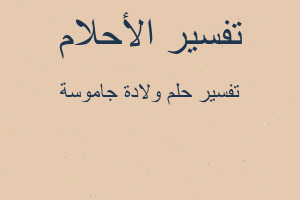 تفسير ولادة جاموسة في المنام تفسير ولادة جاموسة في المنام