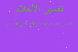 تفسير دجاجة راكه على البيض في المنام