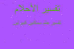 تفسير سمكتين كبيرتين في المنام