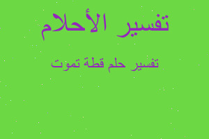 تفسير قطة تموت في المنام