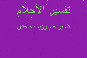 تفسير رؤية دجاجتين في المنام