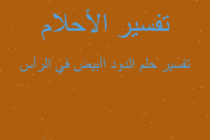 تفسير الدود اأبيض في الرأس في المنام