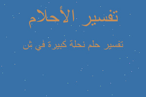 تفسير نحلة كبيرة في ش في المنام