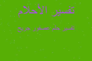 تفسير عصفور جريح في المنام