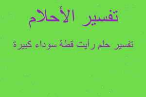 تفسير رأيت قطة سوداء كبيرة في المنام