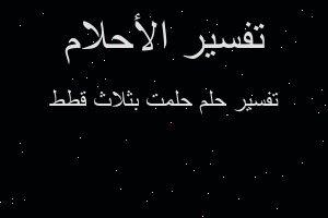 تفسير حلمت بثلاث قطط في المنام تفسير حلمت بثلاث قطط في المنام