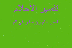 تفسير رؤيه فأر فى الم في المنام