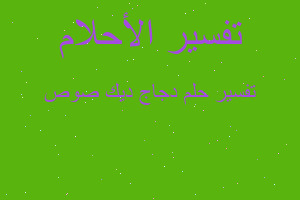 تفسير دجاج ديك صوص في المنام تفسير دجاج ديك صوص في المنام