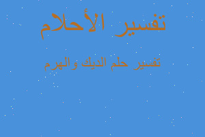 تفسير الديك والهرم في المنام