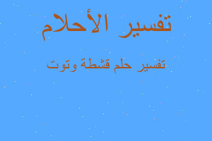 تفسير قشطة وتوت في المنام تفسير قشطة وتوت في المنام