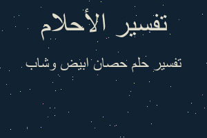 تفسير حصان ابيض وشاب في المنام تفسير حصان ابيض وشاب في المنام