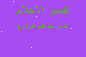 تفسير كلب البولدوغ في المنام تفسير كلب البولدوغ في المنام