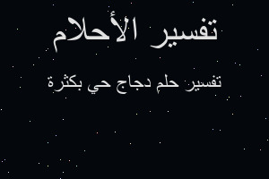 تفسير دجاج حي بكثرة في المنام تفسير دجاج حي بكثرة في المنام