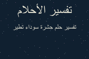 تفسير حشرة سوداء تطير في المنام