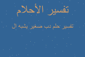 تفسير دب صغير يشبه ال في المنام