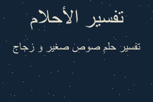 تفسير صوص صغير و زجاج في المنام