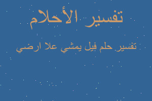 تفسير فيل يمشي علا ارضي في المنام تفسير فيل يمشي علا ارضي في المنام