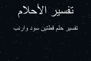 تفسير قطتين سود وارنب في المنام تفسير قطتين سود وارنب في المنام