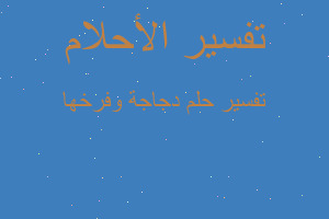 تفسير دجاجة وفرخها في المنام تفسير دجاجة وفرخها في المنام