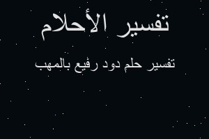 تفسير دود رفيع بالمهب في المنام تفسير دود رفيع بالمهب في المنام