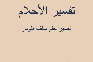 تفسير سلف فلوس في المنام