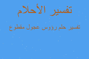 تفسير رؤوس عجول مقطوع في المنام