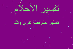 تفسير قطة تنوي وتلد في المنام تفسير قطة تنوي وتلد في المنام