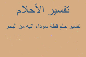 تفسير قطة سوداء آتيه من البحر في المنام