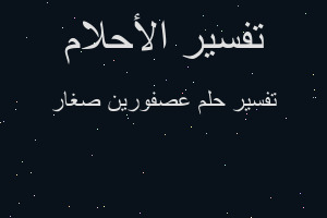 تفسير عصفورين صغار في المنام