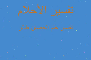 تفسير الحصان طائر في المنام