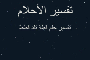 تفسير قطة تلد قطط في المنام تفسير قطة تلد قطط في المنام