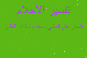 تفسير المشي بجانب سكت القطار في المنام تفسير المشي بجانب سكت القطار في المنام