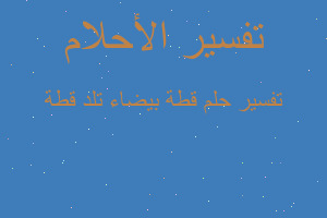 تفسير قطة بيضاء تلد قطة في المنام تفسير قطة بيضاء تلد قطة في المنام