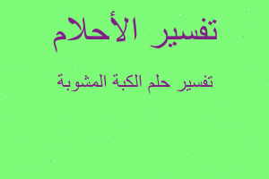 تفسير الكبة المشوبة في المنام تفسير الكبة المشوبة في المنام