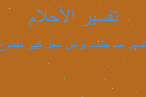 تفسير حلمت برأس عجل كبير مقطوع في المنام