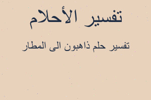 تفسير ذاهبون الى المطار في المنام