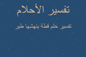 تفسير قطة ينهشها طير في المنام