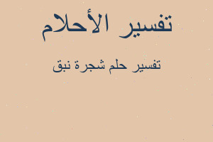 تفسير شجرة نبق في المنام