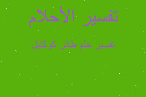 تفسير طائر كوكتيل في المنام تفسير طائر كوكتيل في المنام