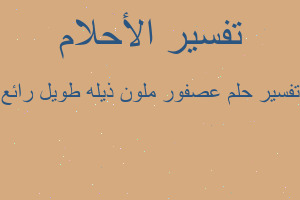 تفسير عصفور ملون ذيله طويل رائع في المنام تفسير عصفور ملون ذيله طويل رائع في المنام