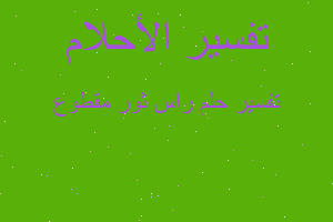 تفسير راس ثور مقطوع في المنام